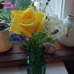 Jean Herrick - @rock.nanajean - Instagram