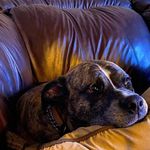 Barbara Jean Heyer Weronko - @bajeanw - Instagram