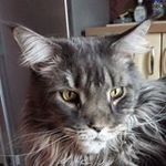 Jean-Louis Deheyer - @jeanlouisdeheyer - Instagram