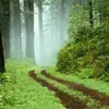 jeanineholbert495 - @jeanineholbert495 - TikTok