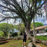 Jean Ever Villamil Holguin - @villamilholguin - Instagram
