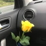 Jean Humphries - @jean.humphries.547 - Instagram