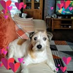 Jean McVeigh Humphries - @michaeljeanmcveigh - Instagram