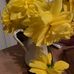 Jean Hussey - Facebook