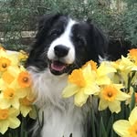 Jean Becker Inman - @britehopes - Instagram