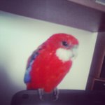 Jean Inman - @glostcomp - Instagram