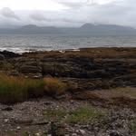 Jean Irving - @jeanirving66 - Instagram