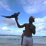 Jean Jameson - @jeanjameson3 - Instagram