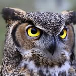 Jean Jamison - @jean.jamison.773 - Instagram