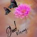 Jean Jenson - Facebook
