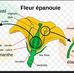 Joachim Jean Jacques - Facebook