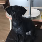 Jean Joy - @jeanjoy41 - Instagram