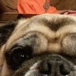 Jean Keeling - @jean.keeling.10 - Instagram