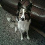 Jean Kenny - @jean.kenny.144 - Instagram