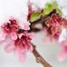 Jean Kessinger - Facebook