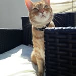 Jean _key - @_jeankey - Instagram