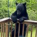 Jean Keyes - Facebook