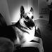 Jean Kimble - Facebook