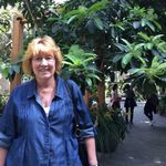 Jean Kinder - @gajey43782 - Instagram