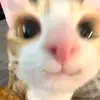 jean kingston - @ssvnrai - TikTok