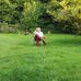 Jean-pierre Kircher - Facebook