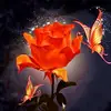Debra Jean Kirkley - @debralaflam - TikTok