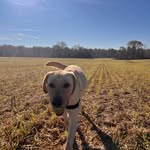 Jennie A. Kirkley - @j.love.1.luv - Instagram