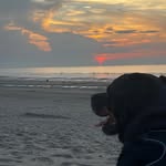 Jean-Paul Krier - @krierjp - Instagram