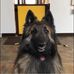 Jean Kroll - Facebook