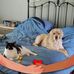 Jean Labelle - Facebook