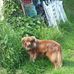 Jean Laborde - Facebook