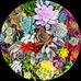 Jean Cote Lafave - Facebook