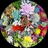 jeancotelafave122 - @jeancotelafave122 - TikTok