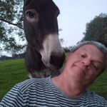 Jean laffineur - @jean_laffineur_ - Instagram