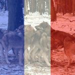Jean Pierre Laffineur - @jeanpierrelaffineur - Instagram