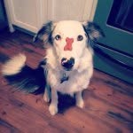 Jean Lafitte - @jeanlafitte504 - Instagram