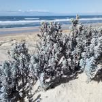 Jean-Marie Lafitte - @jm_lafitte - Instagram