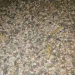 Jean Lamarre Lherisse - @jeanlamarrelherisse - Instagram