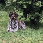 Jean Lamy - @lamy.jean - Instagram