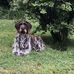 Jean Lamy - Facebook