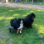 Jean Lange - @jeanhardylange - Instagram
