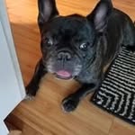 Jean Lanning - @jean_a_lanning - Instagram