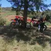 Jean Larose - @jean.larose96 - TikTok