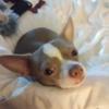 Jeannie Lawless551 - @jeannielawless551 - TikTok