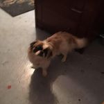 Jean Leeper - @jeanleeper - Instagram