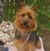 Jean Lemon - Facebook