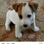Jean Leroy - @jeanleroy45 - Instagram