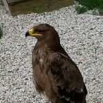 Jean Levan - @jean.levan.9 - Instagram