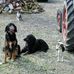 Jean-Luc Levan - Facebook