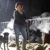 jeannetvanlinden - @jeannetvanlinden - TikTok